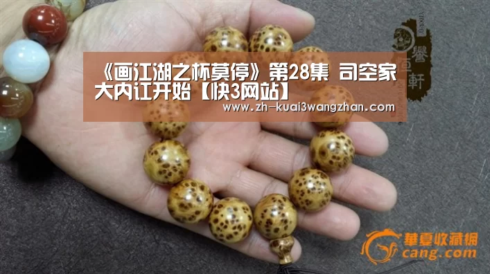 《画江湖之杯莫停》第28集 司空家大内讧开始【快3网站】(图2) 快3网站