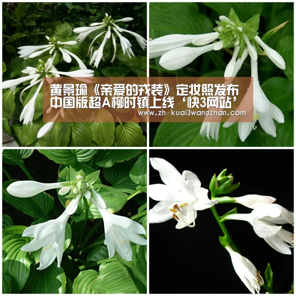 黄景瑜《亲爱的戎装》定妆照发布 中国版超